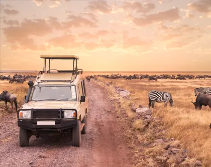 Le parc du Serengeti en Tanzanie